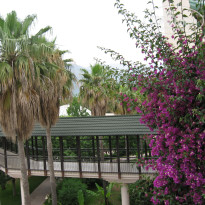 Alva Donna World Palace 5* - Фото отеля