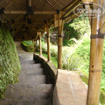 Kupu-Kupu Barong Villas 5* - Фото отеля
