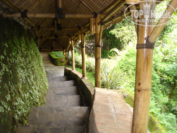 Kupu-Kupu Barong Villas 5* - Фото отеля