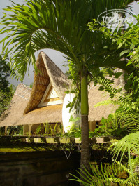 Kupu-Kupu Barong Villas 5* - Фото отеля