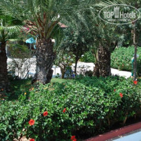 Kemal Bay 5* Вид из номера)) - Фото отеля