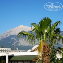 Alva Donna World Palace 5* Гора Тахталы. Высота 2365 м. Туда возят на экскурсию - Фото отеля