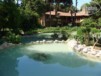 Aquaworld Belek by MP Hotels 5* бунгало - Фото отеля