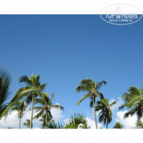 Punta Cana Princess All Suite Resort & Spa 5* - Фото отеля