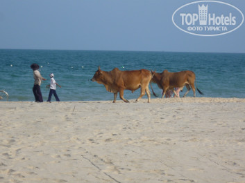 Ocean Star Resort 4* - Фото отеля