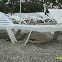 Green Paradise Beach Hotel 4* - Фото отеля