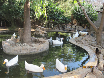 Green Paradise Beach Hotel 4* - Фото отеля