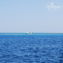 Jaz Makadina 5* море - Фото отеля