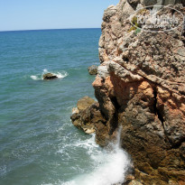 Green Paradise Beach Hotel 4* - Фото отеля
