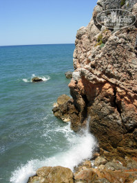 Green Paradise Beach Hotel 4* - Фото отеля