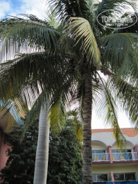 Brisas Del Caribe 4* - Фото отеля