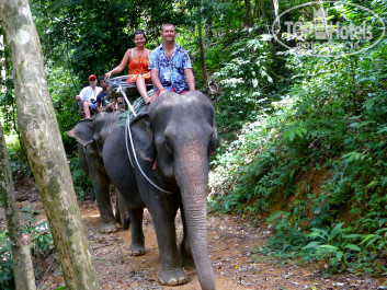 Phuket Island View 3* Катание на слонах - PhangNga - Фото отеля