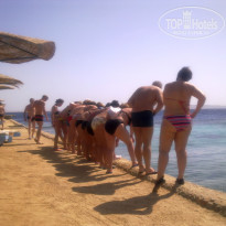 Zahabia Hotel & Beach Resort 4* может кто себя узнает))) - Фото отеля