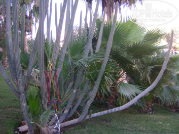 Zahabia Hotel & Beach Resort 4* - Фото отеля