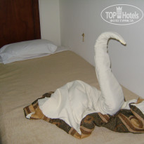 Zahabia Hotel & Beach Resort 4* - Фото отеля