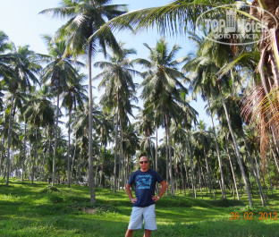 Cinnamon Bentota Beach 4* - Фото отеля