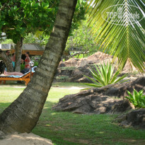 Cinnamon Bentota Beach 4* в саду отеля - Фото отеля