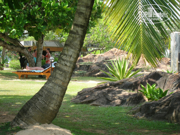 Cinnamon Bentota Beach 4* в саду отеля - Фото отеля