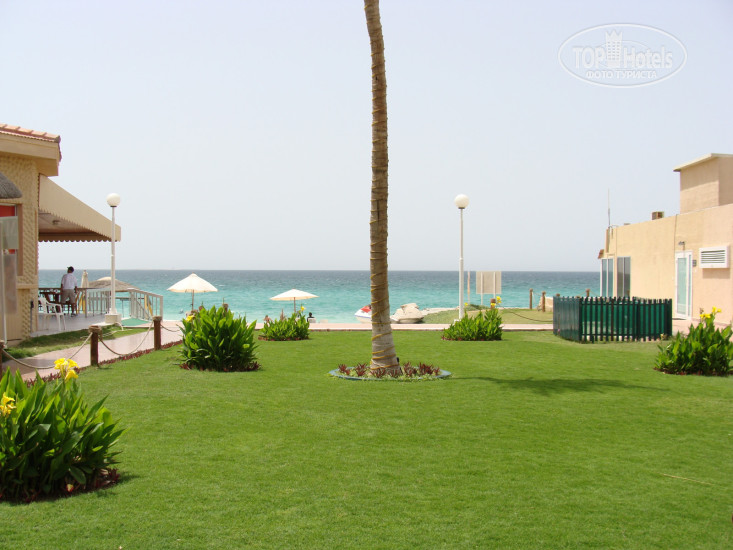 Carlton Sharjah 4* вид из номера - Фото отеля