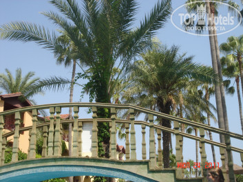 Green Paradise Beach Hotel 4* - Фото отеля