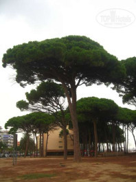 Estival Park Salou Hotel 4* - Фото отеля