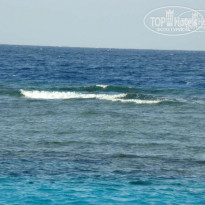 Zahabia Hotel & Beach Resort 4* - Фото отеля