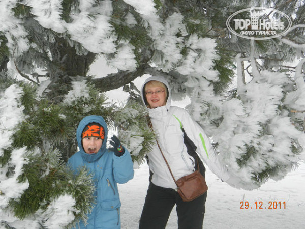 Бристоль 3* - Фото отеля