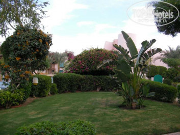 Zahabia Hotel & Beach Resort 4* - Фото отеля