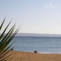 Zahabia Hotel & Beach Resort 4* - Фото отеля