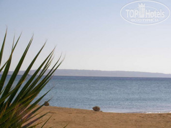 Zahabia Hotel & Beach Resort 4* - Фото отеля