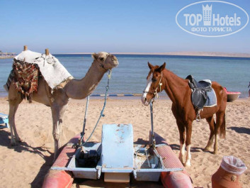 Zahabia Hotel & Beach Resort 4* - Фото отеля