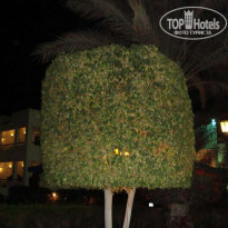Dreams Vacation Resort Sharm El Sheikh 4* - Фото отеля