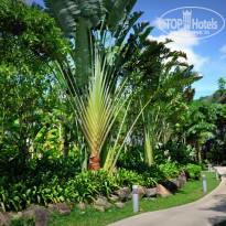 Centara Karon Resort Phuket 4* - Фото отеля