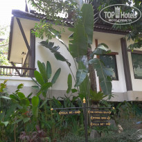 Diamond Cottage Resort & Spa 4* - Фото отеля