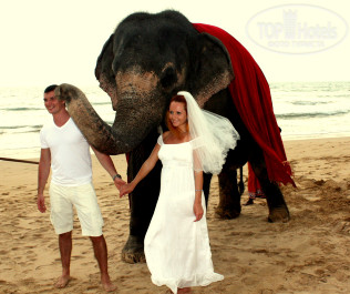 Cinnamon Bentota Beach 4* - Фото отеля
