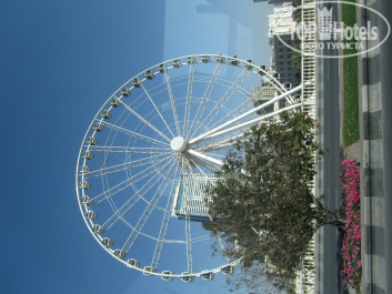 Nejoum Al Emarat 3* колесо оборзения - Фото отеля