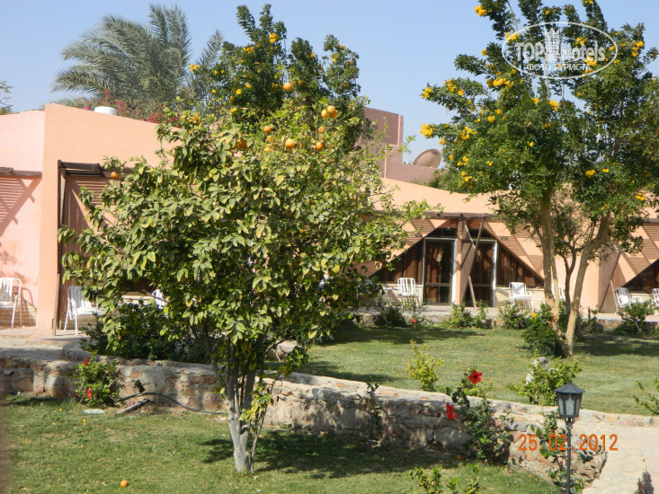 Paradise Abu Soma 4* - Фото отеля