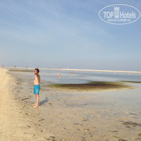 JA Beach Hotel 5* - Фото отеля