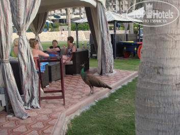 JA Beach Hotel 5* - Фото отеля