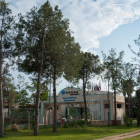 Zeynep Hotel 5* На территории корпуса Golf - много сосен, приятно прогуляться в жаркий день - Фото отеля