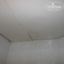 Constantinos The Great Beach Hotel 5* - Фото отеля