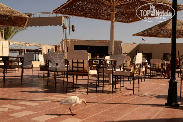 Paradise Abu Soma 4* Это ресторан отеля, его уличная часть. - Фото отеля