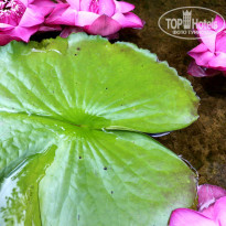 Pullman Pattaya Hotel G 5* - Фото отеля