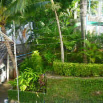 Orchidacea Resort 3* Вид из номера - Фото отеля