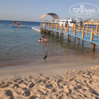 Dessole Royal Rojana Resort 5* нежданный гость на пляже. - Фото отеля