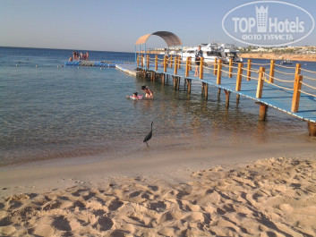 Dessole Royal Rojana Resort 5* нежданный гость на пляже. - Фото отеля