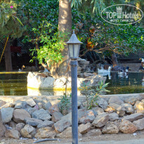 Green Paradise Beach Hotel 4* - Фото отеля
