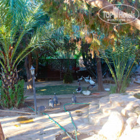 Green Paradise Beach Hotel 4* - Фото отеля