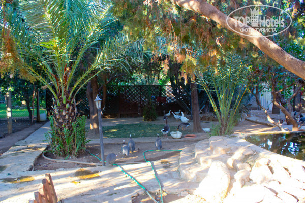 Green Paradise Beach Hotel 4* - Фото отеля