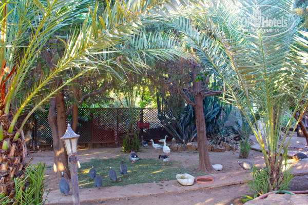 Green Paradise Beach Hotel 4* - Фото отеля